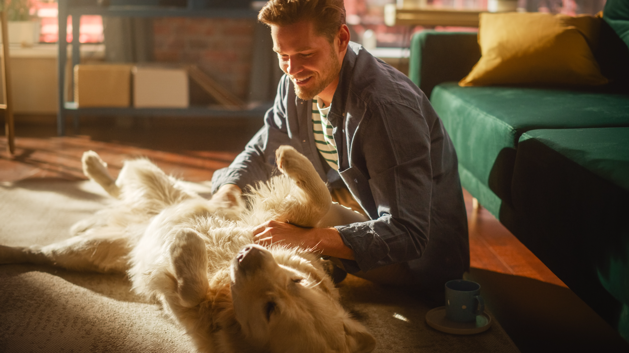 Unique and hard to reach audiences for consumer insights - Olinger market research agency