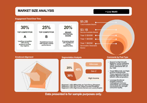Sample market sizing dashboard displaying Total Addressable Market (TAM), Serviceable Available Market (SAM), Share of Market (SOM), segmentation analysis, and competitive benchmarking with projected growth data.