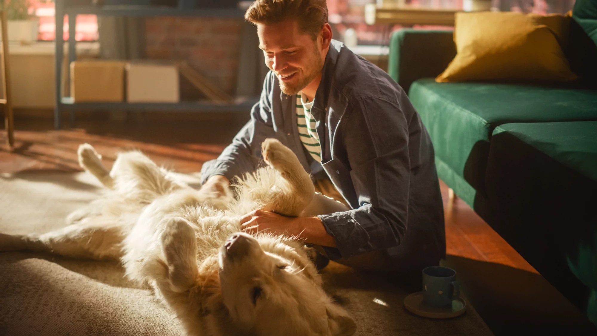 Unique and hard to reach audiences for consumer insights - Olinger market research agency